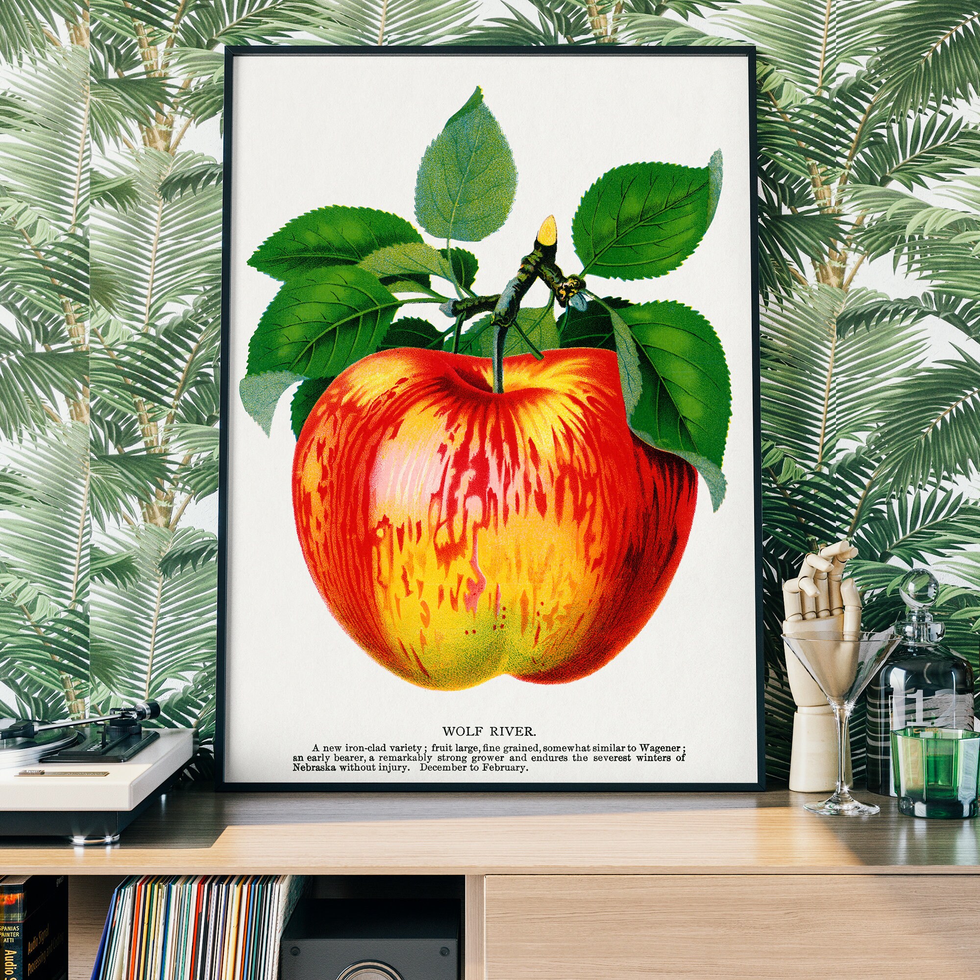 Vintage Apple Poster, Lithograph Print, Antique Botanical Art