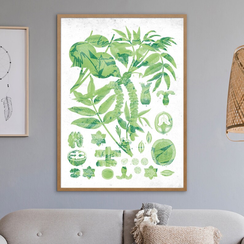 Vintage Flowers Chart Plant Diagram Botanical Wall Decor - Etsy