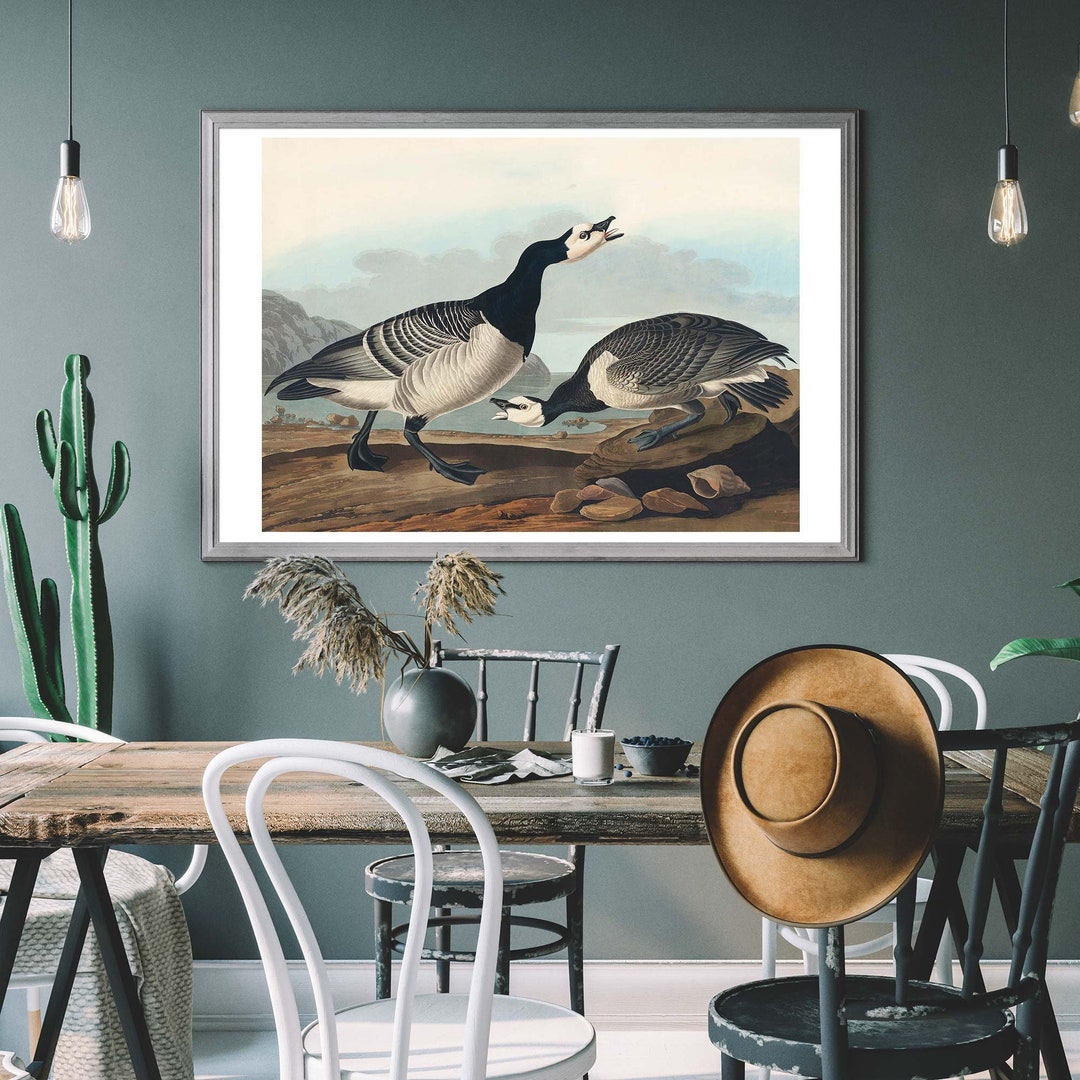 Audubon Crow e corvo uccelli stampa set di 2 bella antica vintage nero uccello illustrazione foto disegno casa camera Wall Decor a telaio - Italia