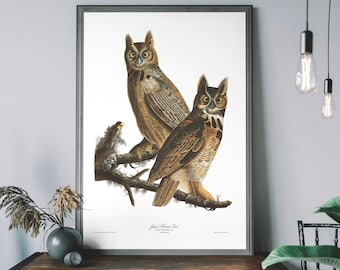 Búhos cornudos - Decoración vintage para pared - Aves de América, Ilustración antigua de aves, Póster de John Audubon