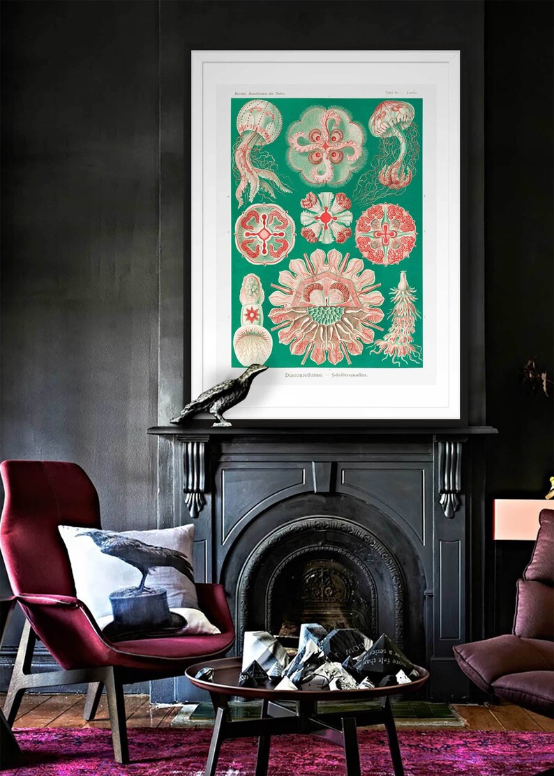 Antique Jellyfish Print Ocean Wall Art Nautical Decor Etsy