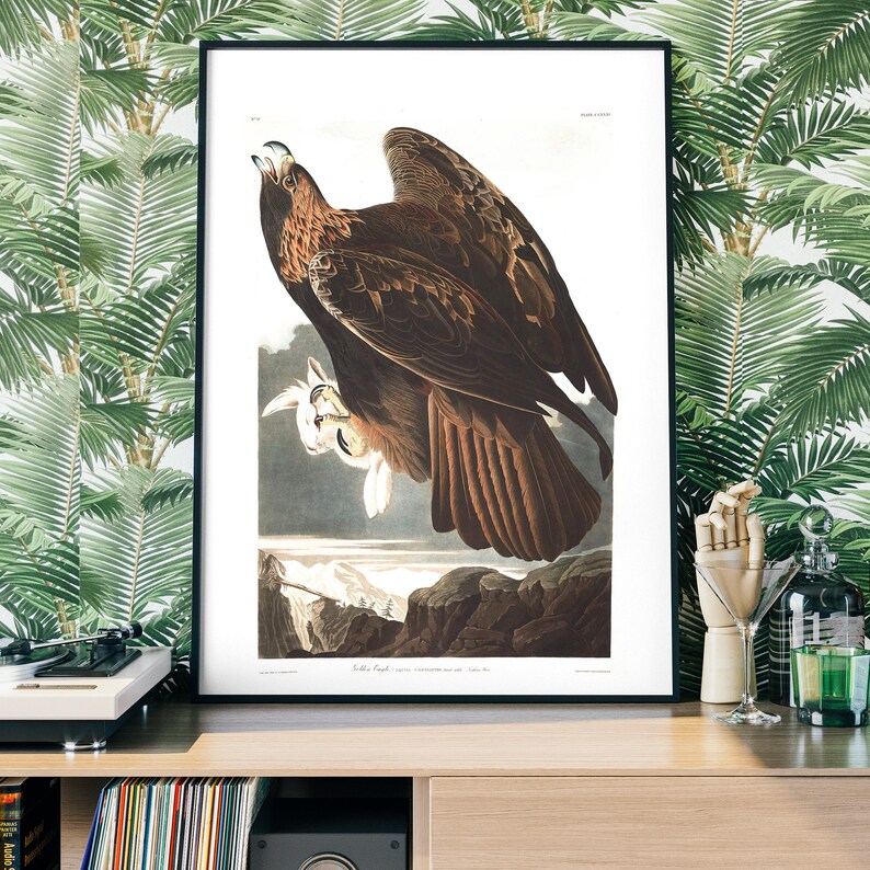 Vintage Golden Eagle Art Print Birds of America poster | Etsy