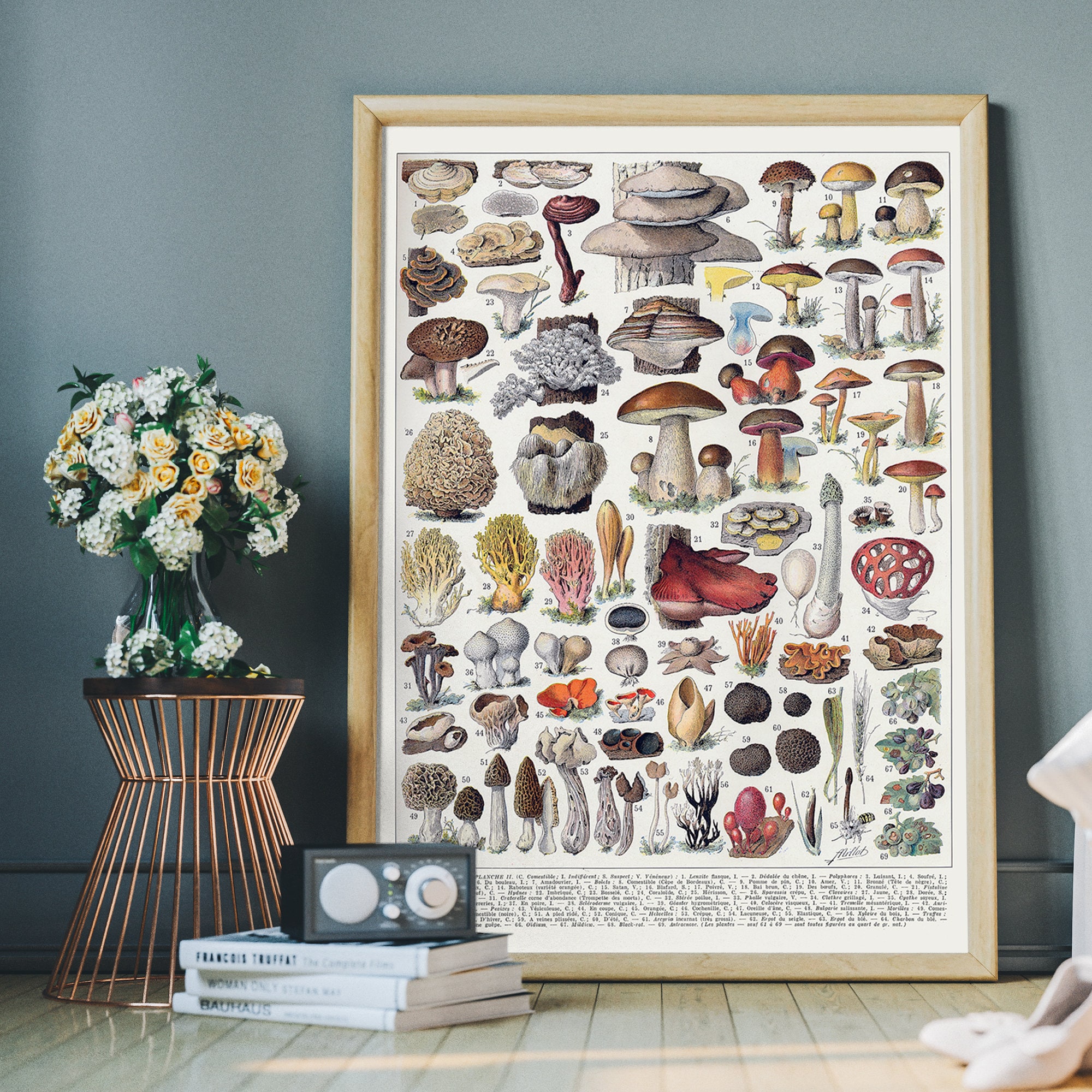 Stampa artistica ad acquerello di varietà di funghi / Opere d'arte sui funghi / Arte e decorazioni murali a tema natura / Funghi stravaganti e arte vegetale - Italia