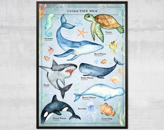 Kids Ocean Chart Print — Educational Sea Animal Art