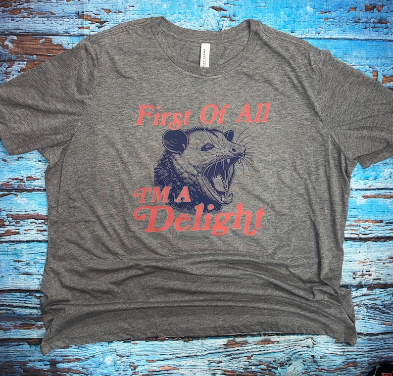 May include: A heather gray t-shirt with the text "First Of All I'm A Delight" in red script. The shirt features a blue and gray illustration of an opossum with its mouth open.