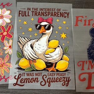 May include: Three heat transfer vinyl sheets with whimsical designs. One features a goose with a hat and the text "silly goose on the loos". Another shows a goose with sunglasses and lemons, with text "In the interest of full transparency" and "Lemon Squeezy". The last one has a possum with the text "First of all I'm a delight".