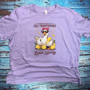 May include: A light purple t-shirt featuring a cartoon goose wearing sunglasses and a bow tie, surrounded by lemons. The text reads "IN THE INTEREST OF FULL TRANSPARENCY, IT WAS NOT EASY PEASY Lemon Squeezy."