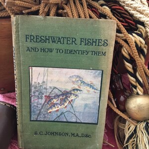 Freshwater Fishes and How to Identify Them by Johnson, S. C. ; Johnson