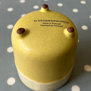 May include: A yellow ceramic planter with a white rim and three small feet. The planter has the text "by ANTHROPOLOGIE Made in Portugal Fabriqu&eacute; au Portugal" on the bottom.