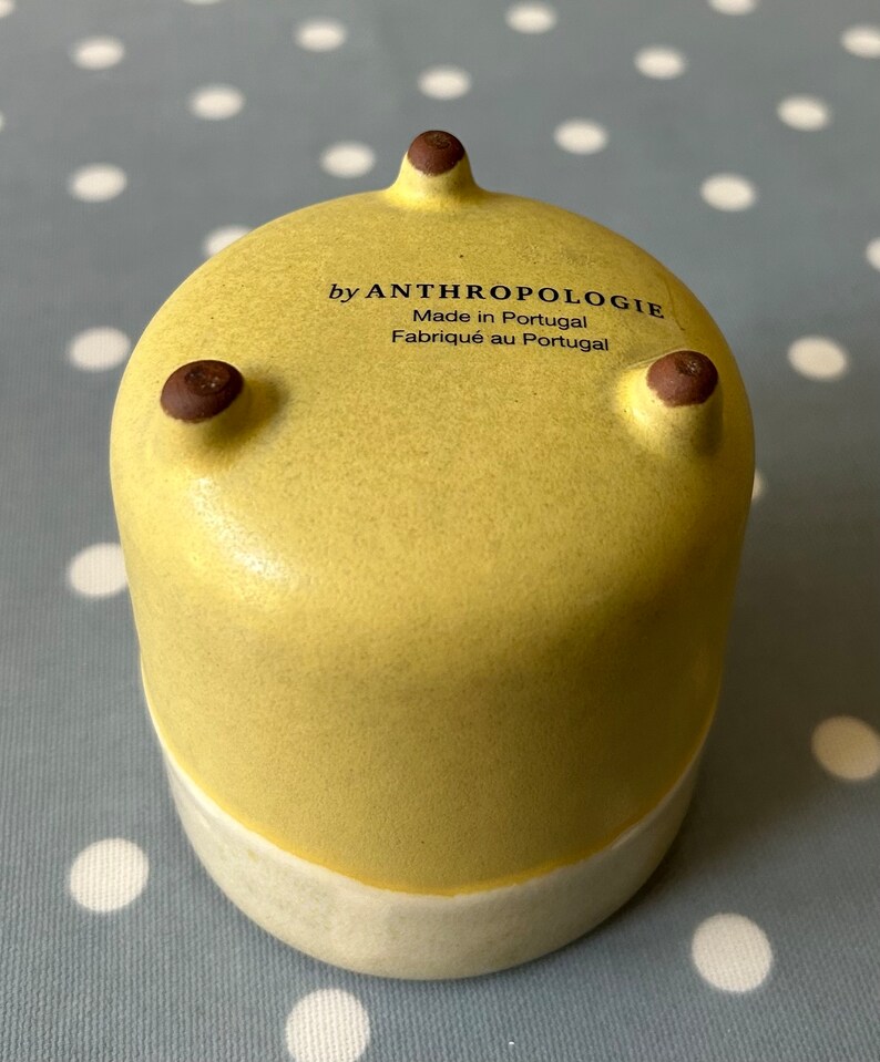 May include: A yellow ceramic planter with a white rim and three small feet. The planter has the text "by ANTHROPOLOGIE Made in Portugal Fabriqu&eacute; au Portugal" on the bottom.