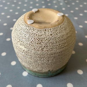 Anthropologie Planter/Decorative Ceramic Rowan Pot image 2