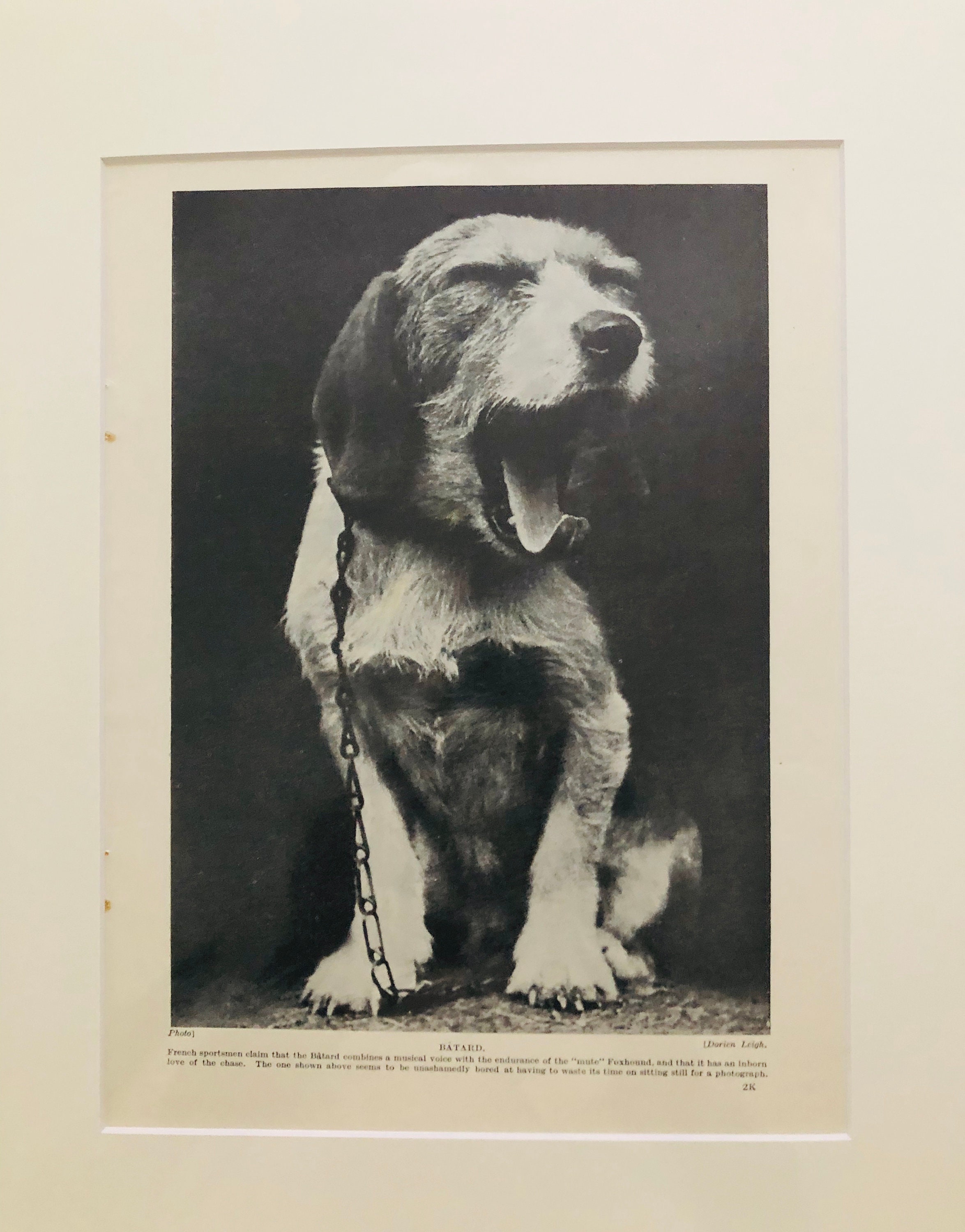 ©︎2010 COZIMADOG art book 2010 COZIMADOG art book