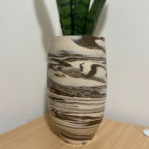 May include: A white and brown marbled ceramic vase with a green snake plant inside.