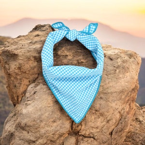 Custom Dog Bandana | Personalized Bandana | Turquoise Gingham Dog Bandana handmade by The Oxford Dog