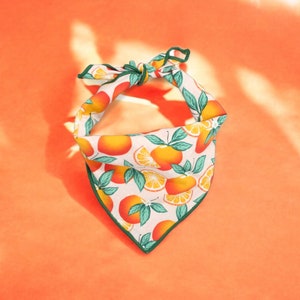 Custom Dog Bandana | Personalized Bandana | Oranges Dog Bandana handmade by The Oxford Dog