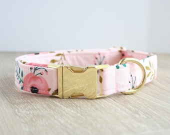 dog collar girls dog collar girls