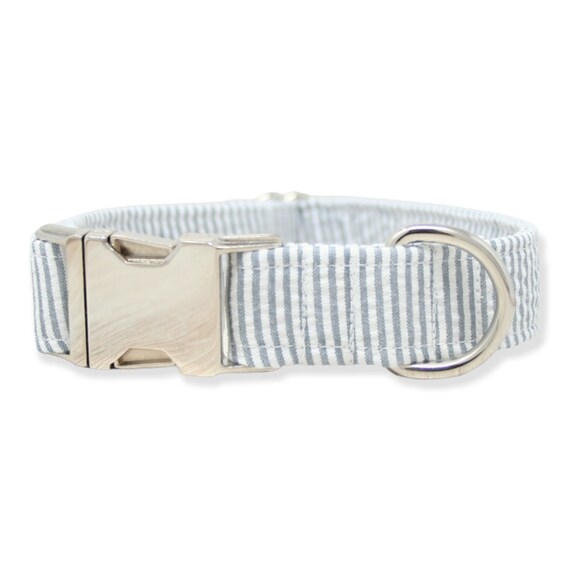 Girl dog clearance collars and leads
