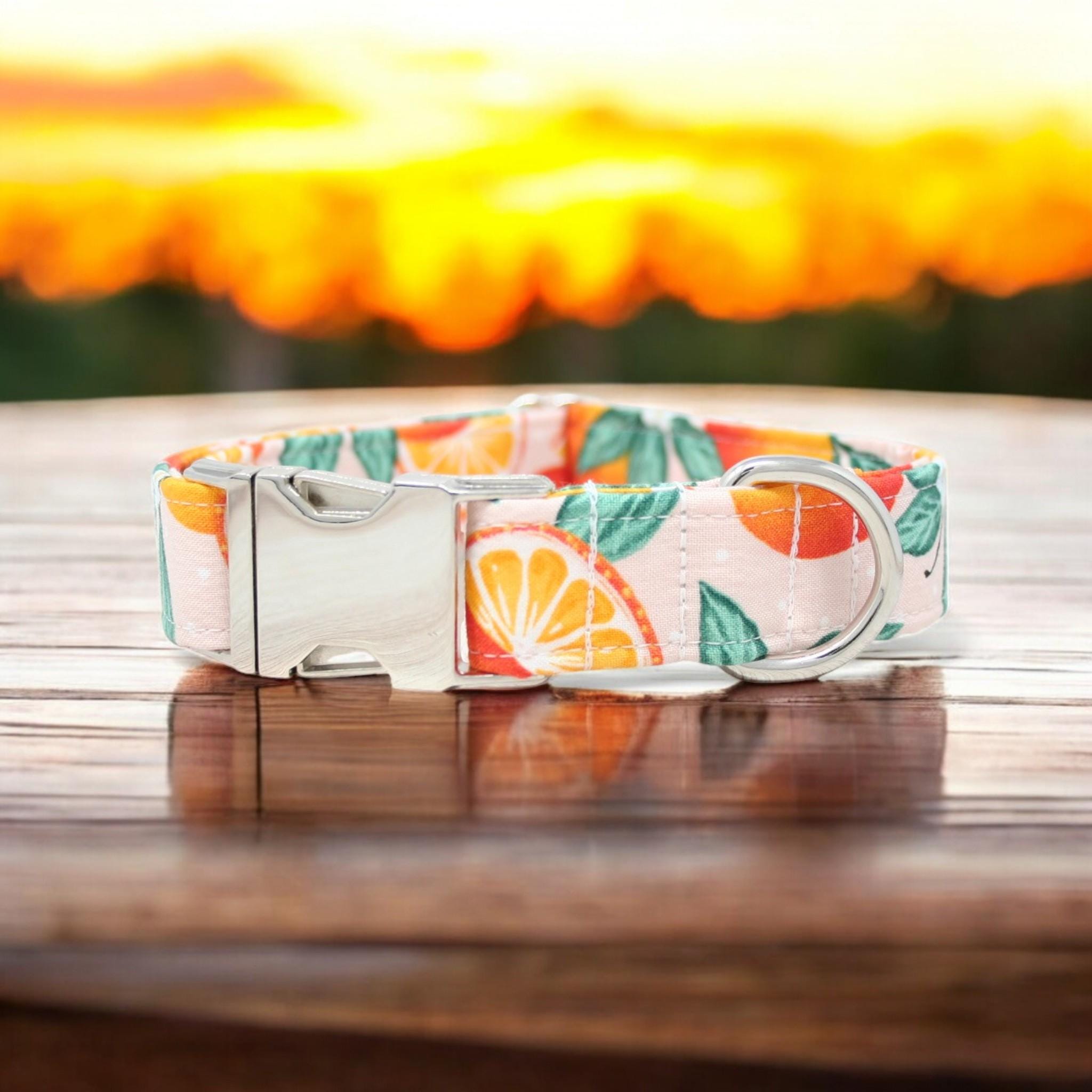 Oranges Dog Collar handmade by The Oxford Dog | Girl Dog Collar | Boy Dog Collar | Summer Dog Collar