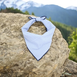 Custom Dog Bandana | Personalized Bandana | Light Blue Gingham Dog Bandana handmade by The Oxford Dog
