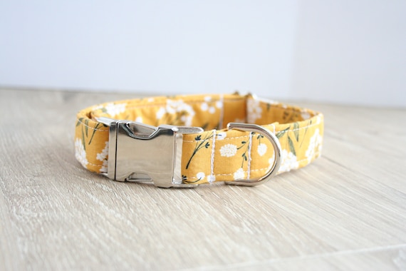 dog collars for girl