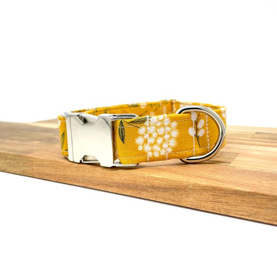 yellow dog collars