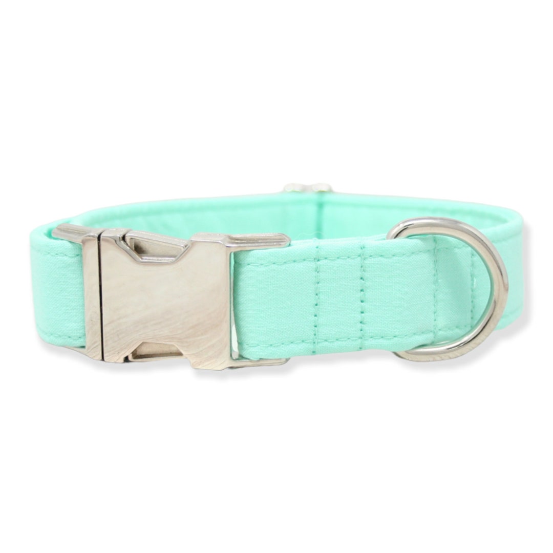 Blue Dog Collar, Mint Dog Collar, Girl Dog Collar, Green Dog Collar