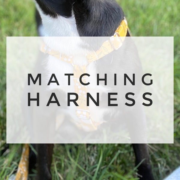 Dog Harness, Dog Halter, Pet Harness, Dog Gift, Puppy Harness, small dog, large dog, The Oxford Dog, matching Harness, Matching Halter