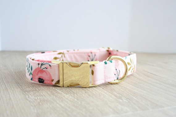 dog collars for girl