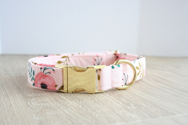 floral dog collar