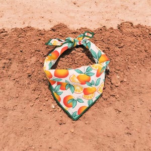 Custom Dog Bandana | Personalized Bandana | Oranges Dog Bandana handmade by The Oxford Dog