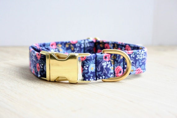 boy dog collars and leashes