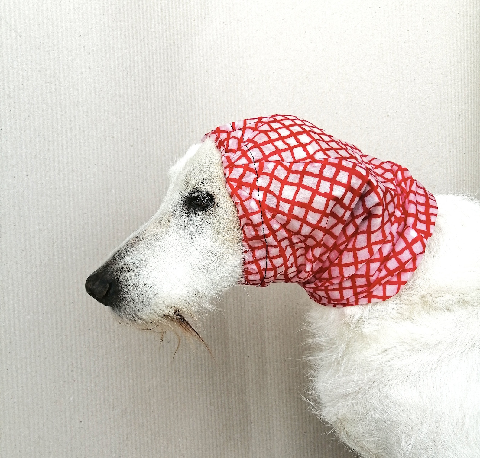 Dog Earmuffs Waterproof Cover Ear Muffs for Dogs Snood Hood Etsy