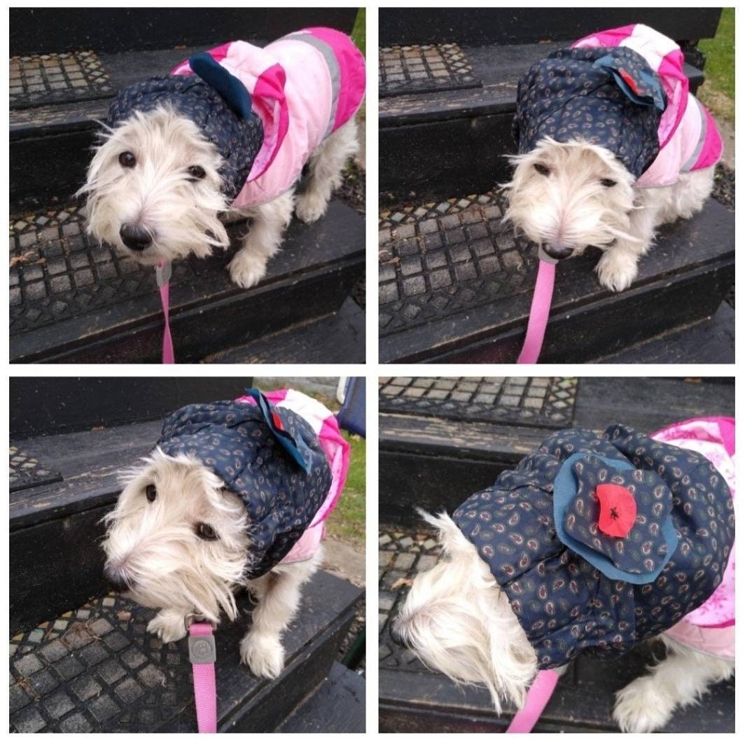 Dog earmuffs Waterproof cover ear muffs for dogs, snood hood dog ears headband from fabric scraps zero waste dog lover gift