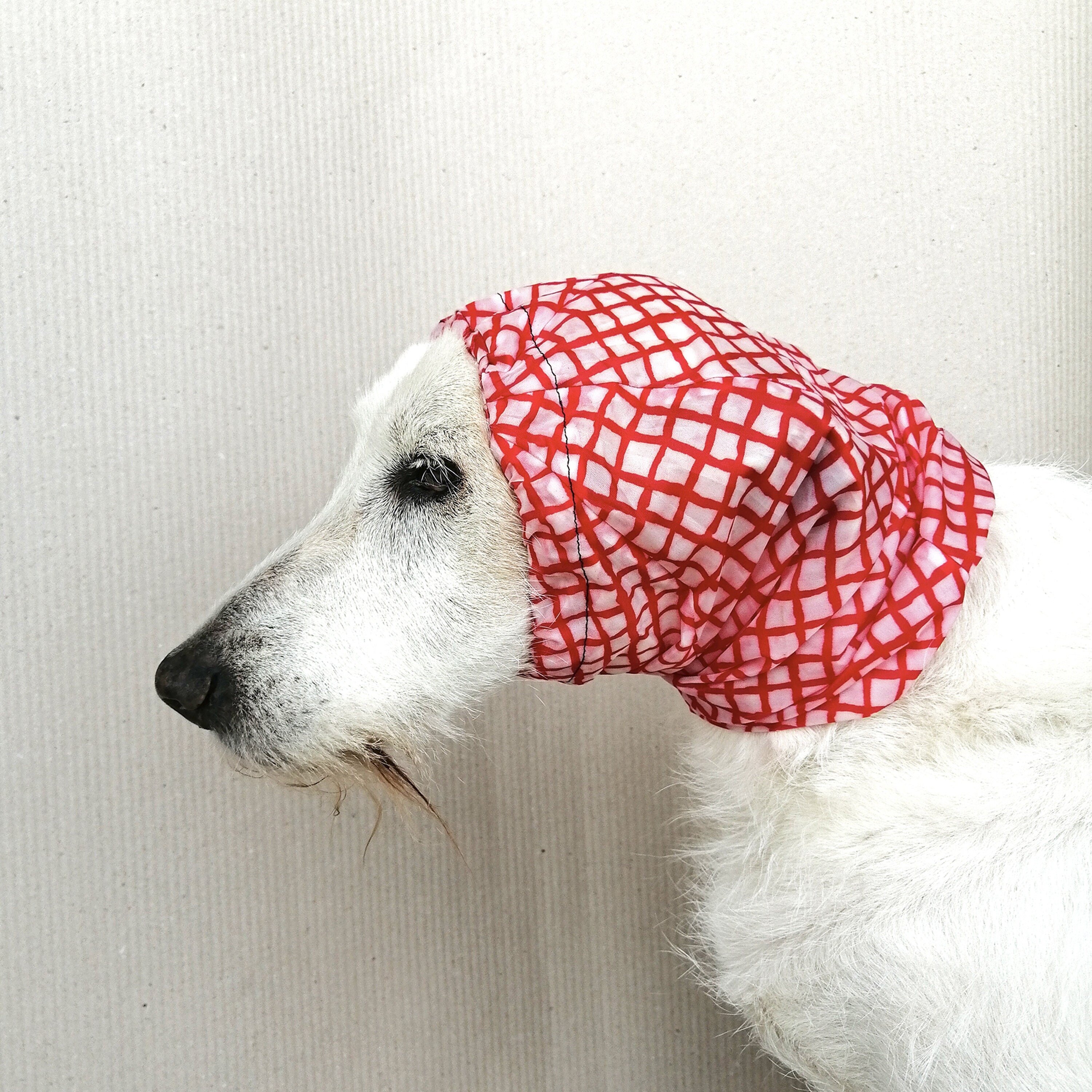 Dog earmuffs Waterproof cover ear muffs for dogs, snood hood dog ears headband from fabric scraps zero waste dog lover gift