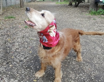 2 Paia Paraorecchie Invernali Morbidi | Uomo/Donna | Foderati E Caldi | Antivento