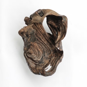 Escultura abstrata em madeira: peça de arte feita com madeira flutuante natural.