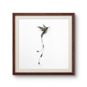 Hummingbird Metal Art: 3D Bird Sculpture Wall Decor