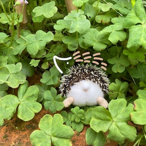 Op de afbeelding: Een wit en bruin stekelvarken knuffel met een witte buik en zwarte ogen ligt in een bed van groene klaverbladeren.