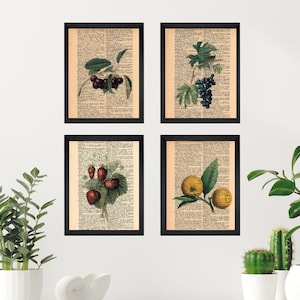 Dictionnaire de fruits Print, Fruit Wall Art, Fruit Art Print, Fruit Print, Fruit Decor, Botanical Fruit Wall Art, Fruit Decor, vintage Fruit Art