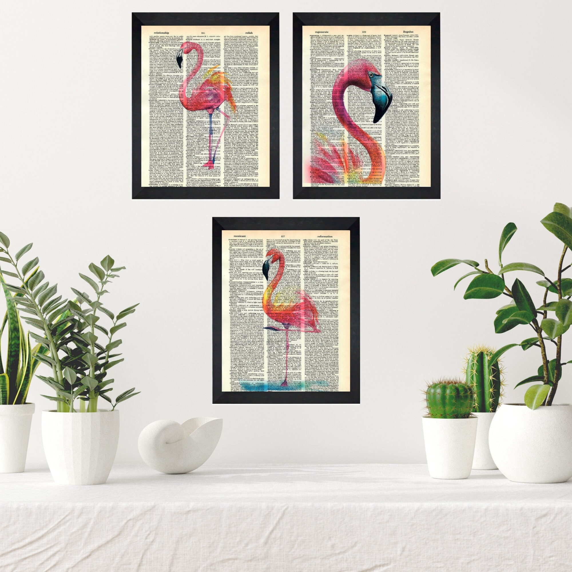 The Complete Guide To Pink Flamingo Meanings (Urban Dictionary & Beyond) - 01rbwux