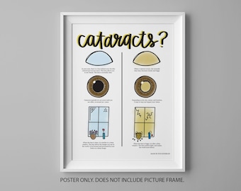 May include: A white poster with the title "Cataracts?" in black and yellow text. The poster explains what cataracts are and how they affect vision. The poster includes illustrations of eyes and a window with a view.