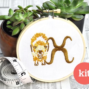 Ox Embroidery Kit • Beginner DIY Stitch, X Monogram