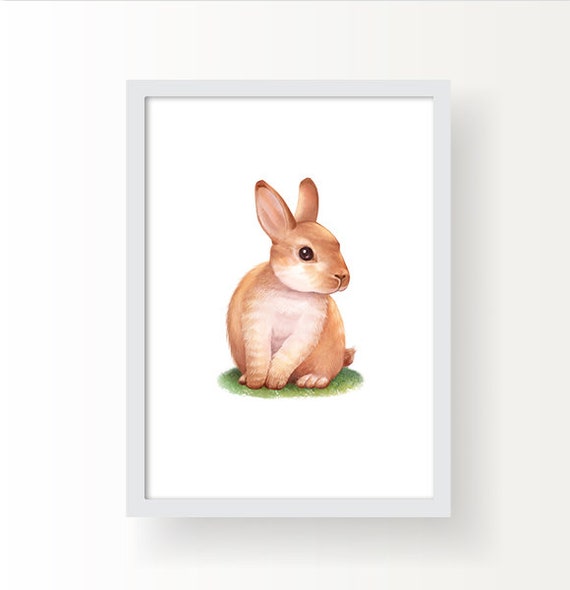 I Baby Rabbit In Grass Art Print Home Decor Wall Art Poster