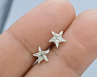 Winzige Sternohrringe, zierliche Ohrstecker aus 925er mit Druckverschluss für Kinder, Mädchen und Frauen,Schmuck mit himmlischem Design