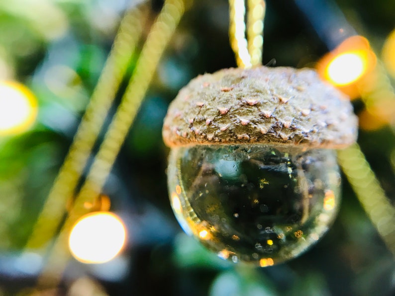 Acorn and Glass Decorations image 1