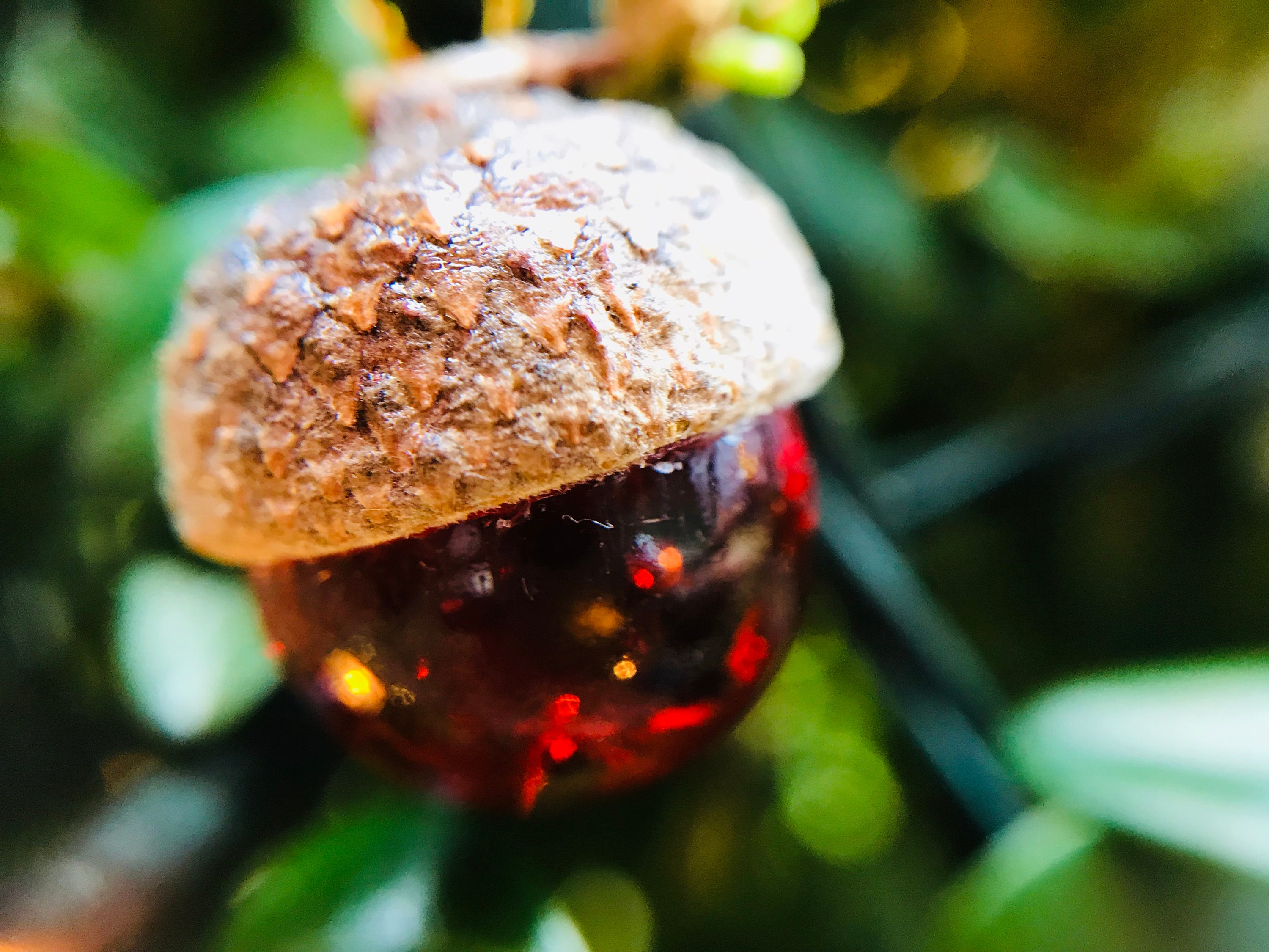 Acorn and Glass Christmas Decorations - Etsy UK