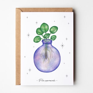 La Pilea - Carte postale illustrée | Botanique, printemps, nature, cabinet de curiosité | Carte illustrée, décoration murale, carte de voeux
