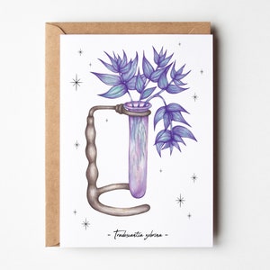 La Misère - Carte postale illustrée | Botanique, nature, cabinet de curiosité | Carte illustrée, décoration murale, carte de voeux