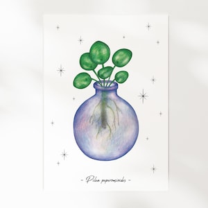 Les Boutures - La Pilea | Illustration A5 | Botanique, printemps, plante, cabinet de curiosité | Carte illustrée, décoration murale, affiche