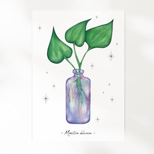 Les Boutures - La Monstera | Illustration A5 | Botanique, plante, nature, cabinet de curiosité | Carte illustrée, décoration murale, affiche